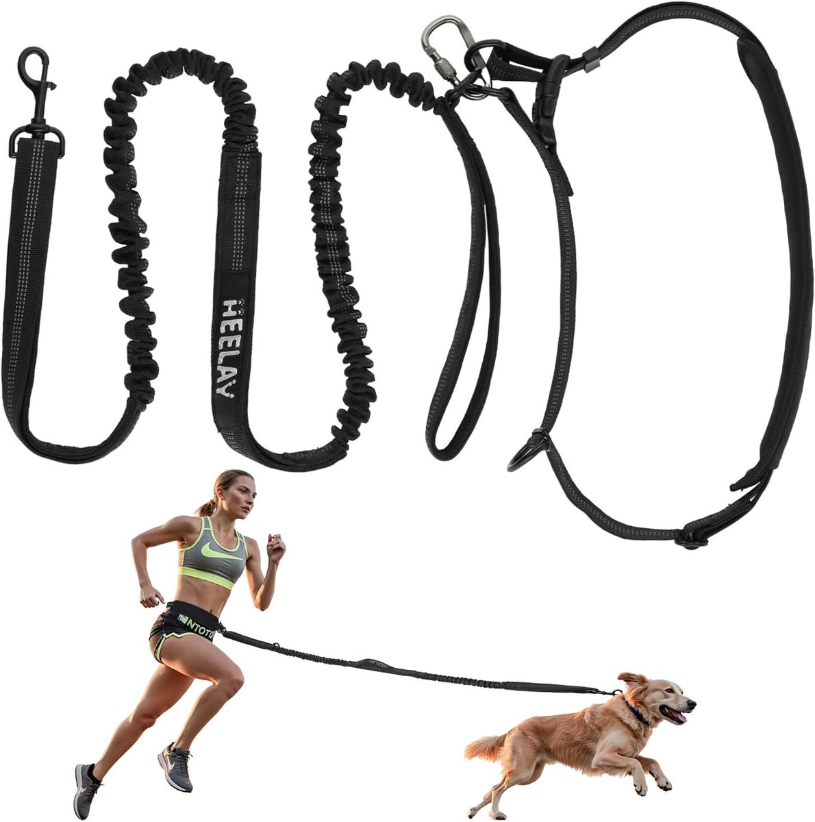 Handsfree Dog Leash with Hip Belt, Shock Absorbing Bungee Lead with Double Handles, Reflective Dog Leash for Running - ShopVlot