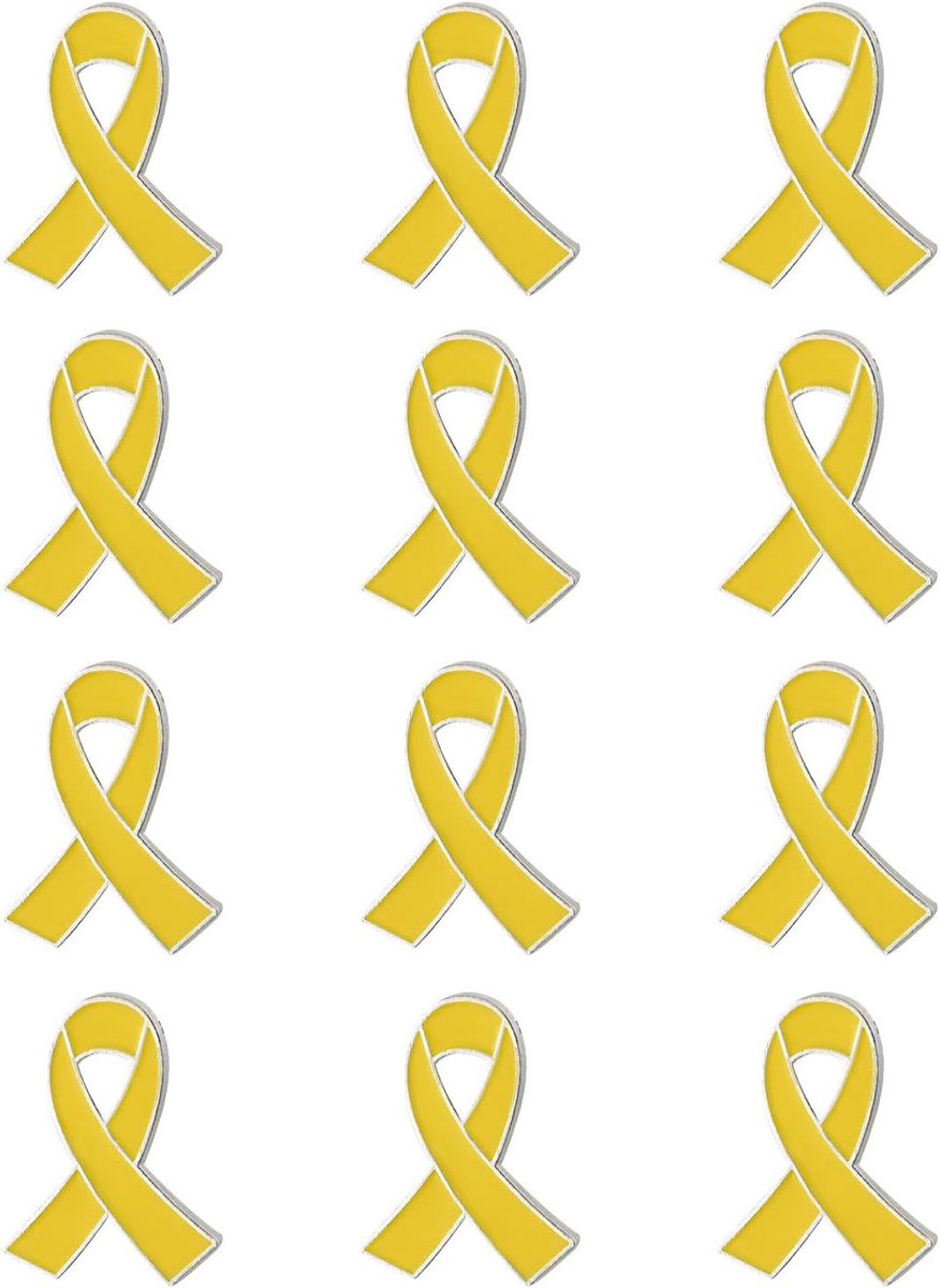 Set van 12 emaille metalen badges voor ondersteuning en liefdadigheidsactiviteiten, 2 cm zilveren basis, duurzame donatieverzamelnaald (20 mm)