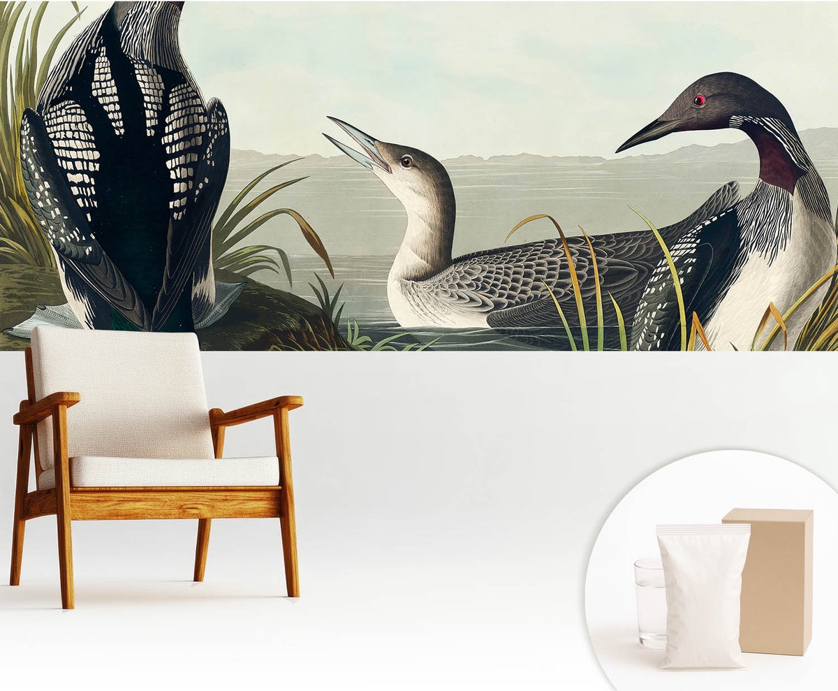 Wallfluent Fotobehang - Zwart Vliesbehang - 250x104 cm - Vogels Boven Het Water Fotobehang Vlies - Hal behang Dieren - Muurschildering - Woonkamer behang