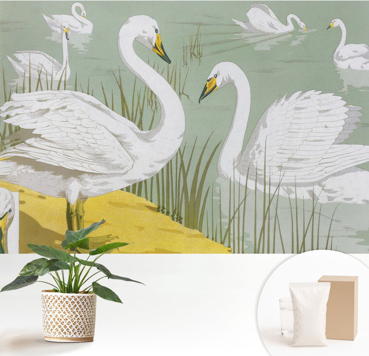 Wallfluent Fotobehang - Wit Vliesbehang - 152x104 cm - Zwanenmeer Muurschildering - Slaapkamer behang Dieren - Fotobehang Vlies - Slaapkamer behang