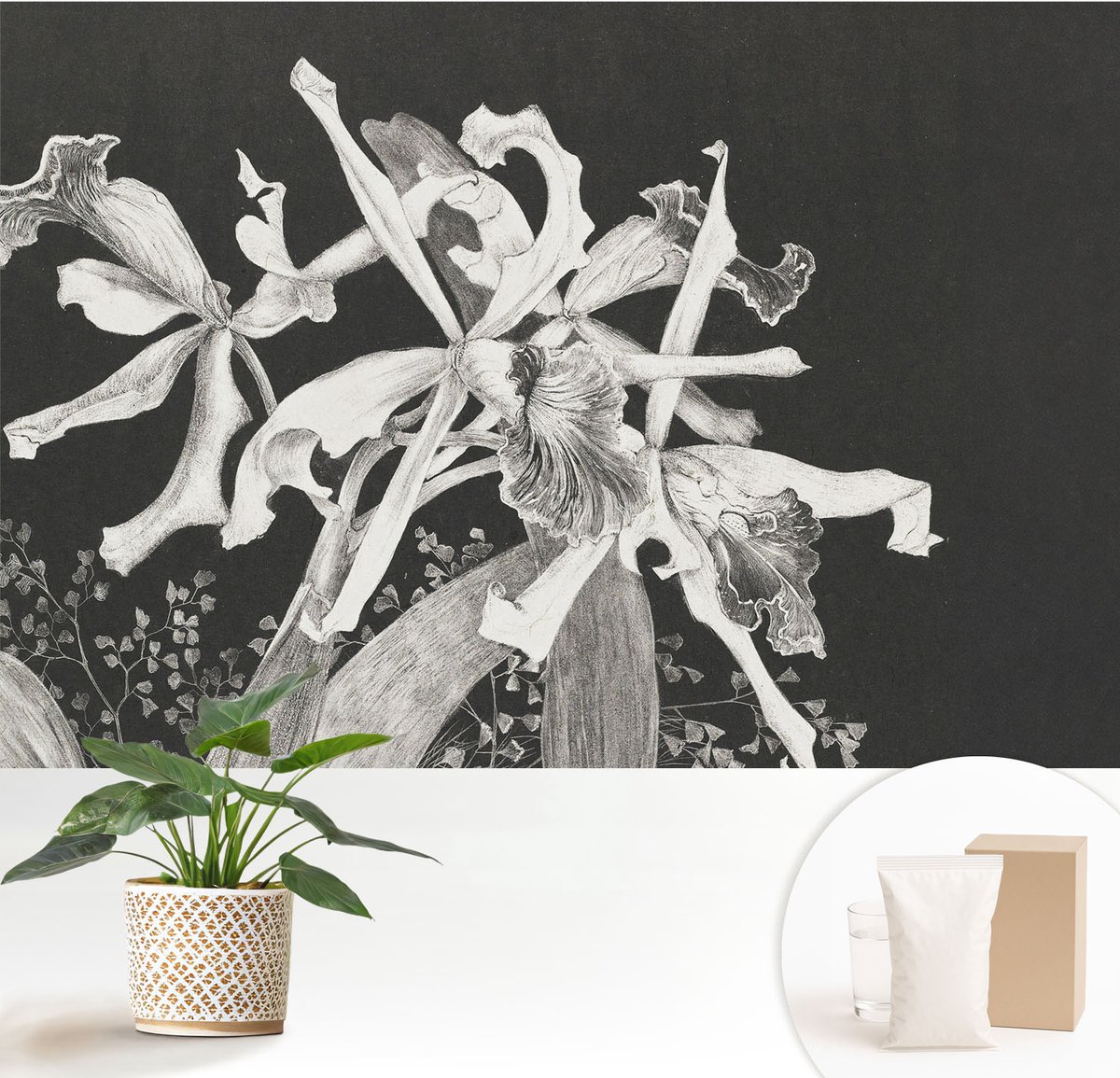 Wallfluent Fotobehang - Zwart Vliesbehang - 152x104 cm - Orchidee Illustratie Muurschildering - Slaapkamer behang Bloemen En Planten - Fotobehang Vlies - Slaapkamer behang