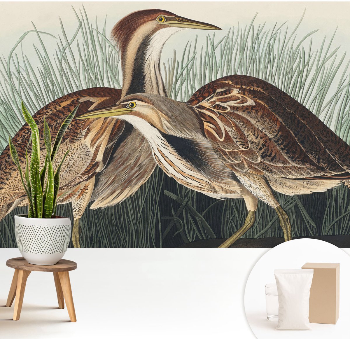 Wallfluent Fotobehang - Bruin Vliesbehang - 208x146 cm - Realistische Vogels Muurschildering - Slaapkamer behang Dieren - Fotobehang Vlies - Slaapkamer behang