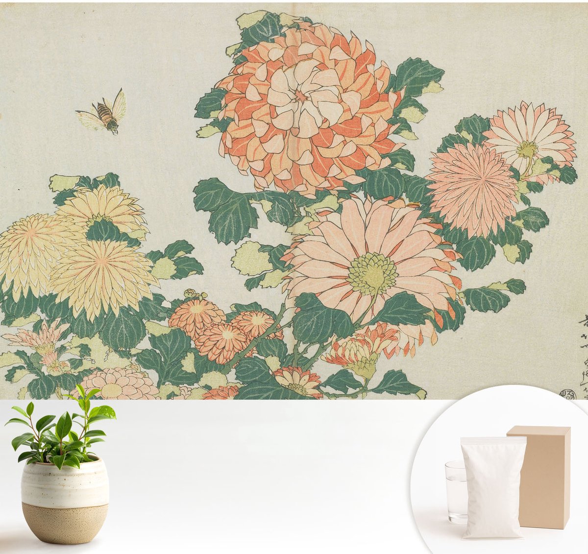 Wallfluent Fotobehang - Romig Vliesbehang - 104x70 cm - Chrysantenbloemen Muurschildering - Gang behang Bloemen En Planten - Fotobehang Vlies - Slaapkamer behang