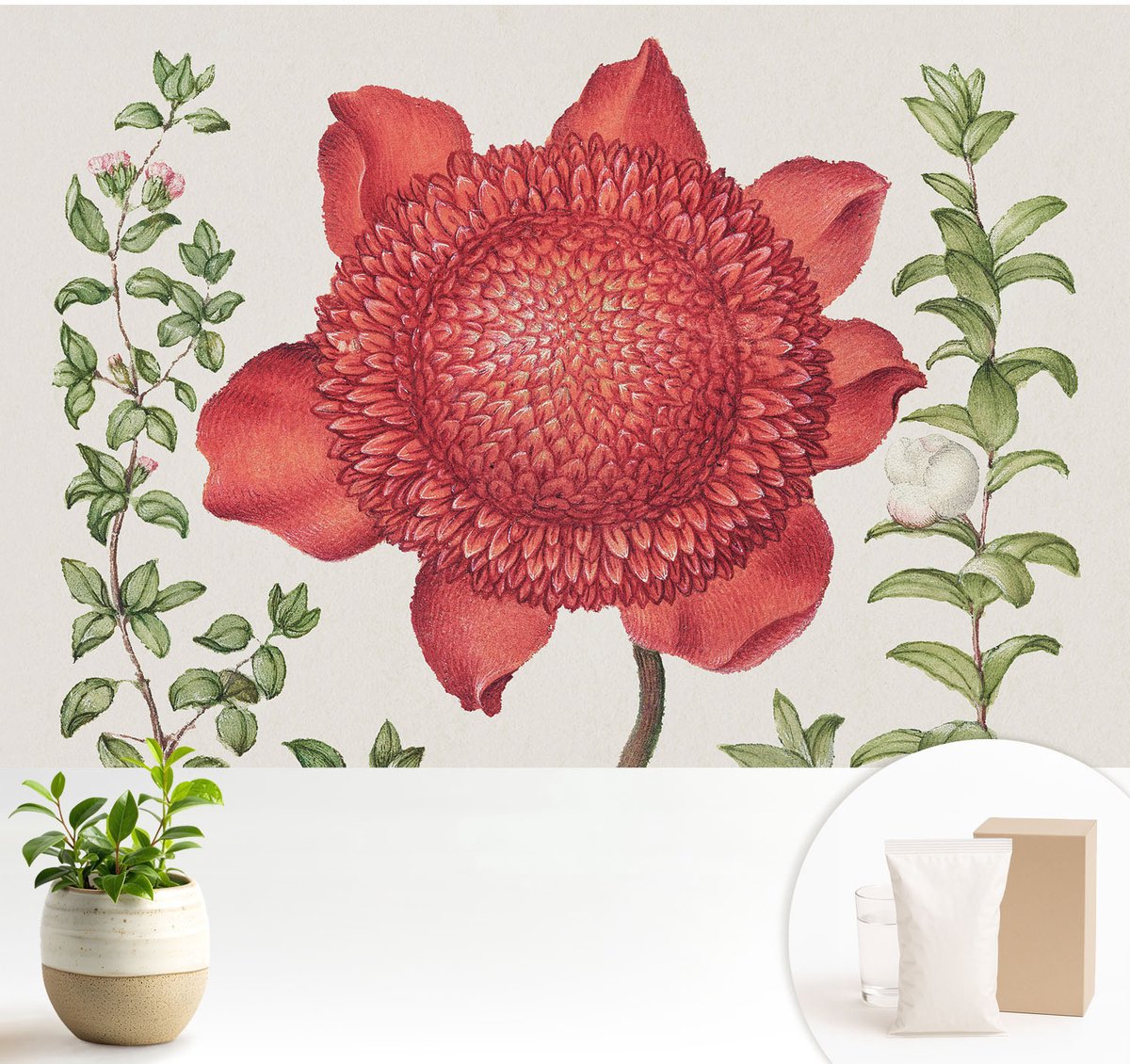 Wallfluent Fotobehang - Rood Vliesbehang - 104x70 cm - Bloemige Elegantie Fotobehang Vlies - Woonkamer behang Bloemen En Planten - Muurschildering - Hal behang