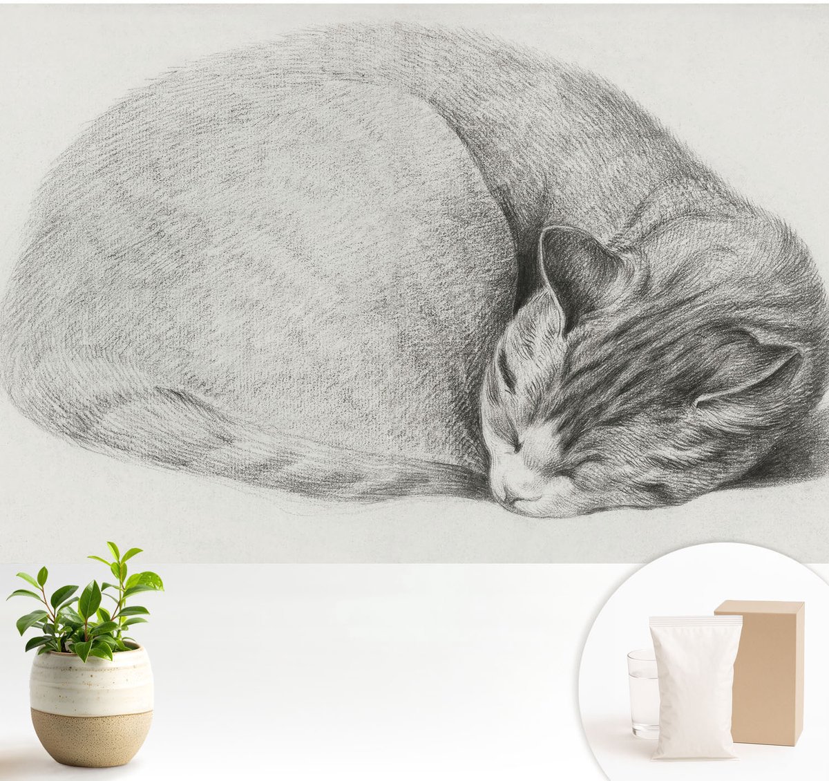 Wallfluent Fotobehang - Grijs Vliesbehang - 104x70 cm - Opgerolde Kat Muurschildering - Slaapkamer behang Dieren - Fotobehang Vlies - Gang behang