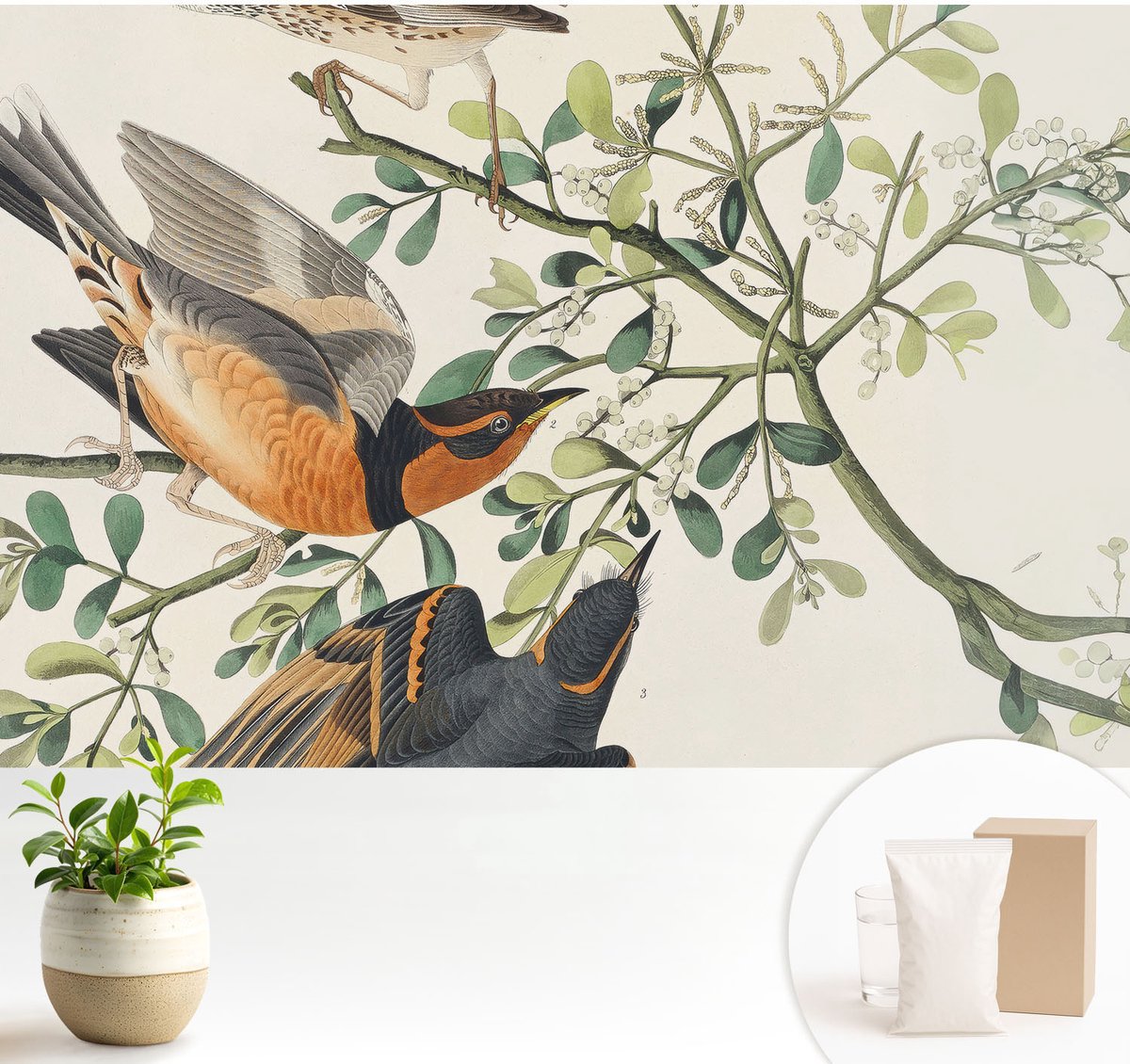Wallfluent Fotobehang - Wit Vliesbehang - 104x70 cm - Kleurrijke Vogels Muurschildering - Gang behang Dieren - Fotobehang Vlies - Slaapkamer behang