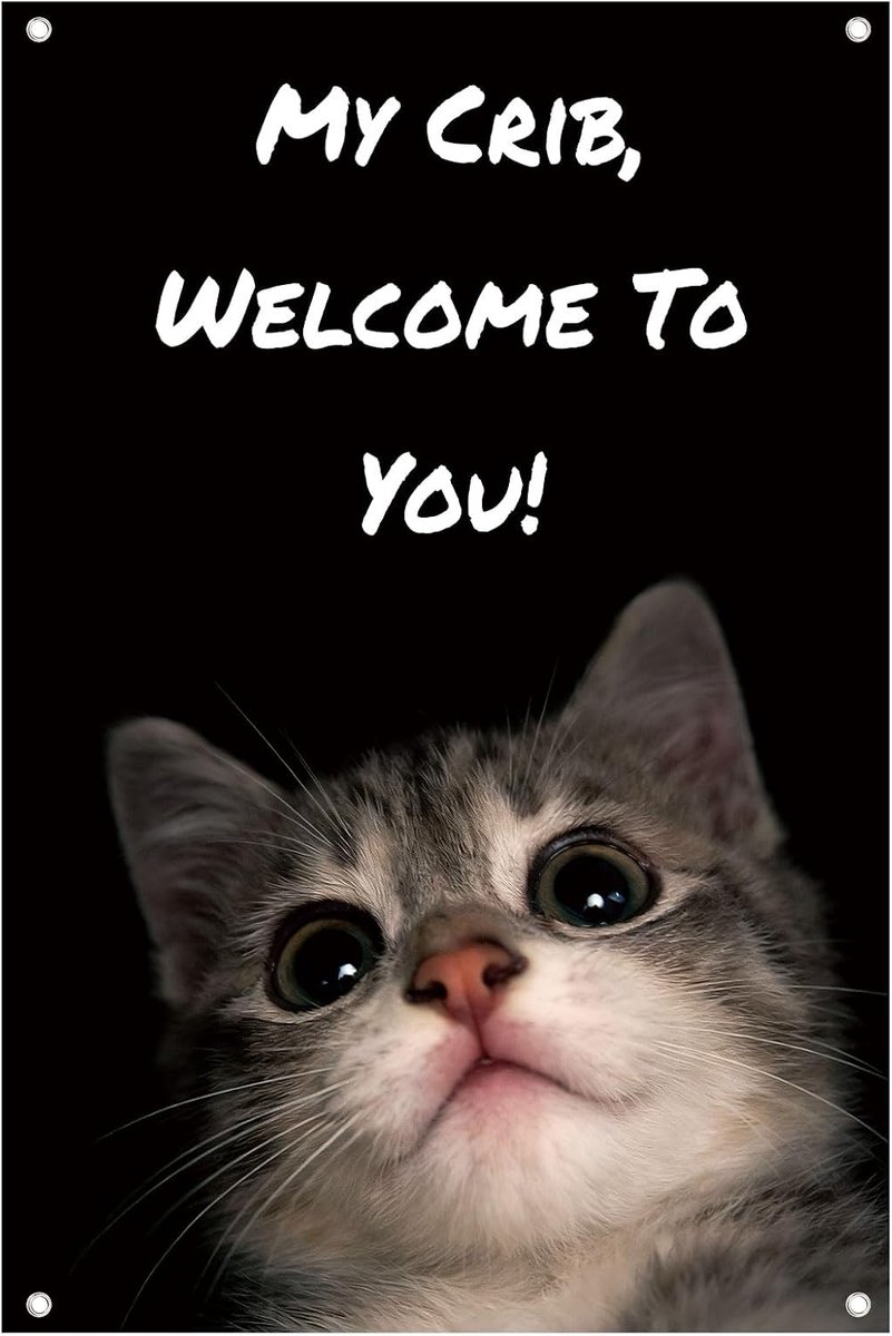Welkom Bij Mijn Huis Kattenvlag, 60x90cm Grappig Wandtapijt van Polyester voor Slaapkamer Tienerkamer Mancave, Studentenkamer Woonkamer Binnen- en Buitendecoratie (Zwart)
