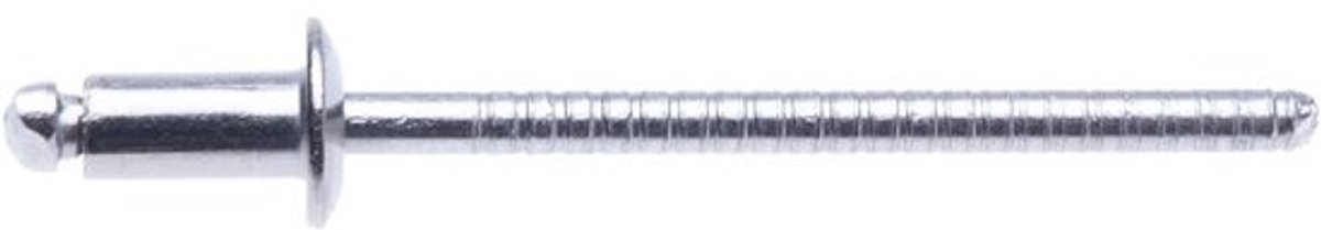 Roestvrijstalen blindklinknagels - Popnagels metaal - Permanente bevestiging - A2 roestvrij staal - 4.8x10mm 100 stuks - Zilverkleurig