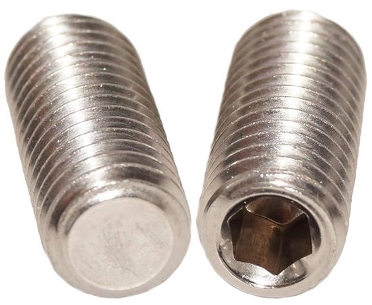 Schroefdraadpennen - Madenschroeven set - Onderdelen Beveiligen - Roestvrij staal A2 - M5x5 25 stuks - Zilver