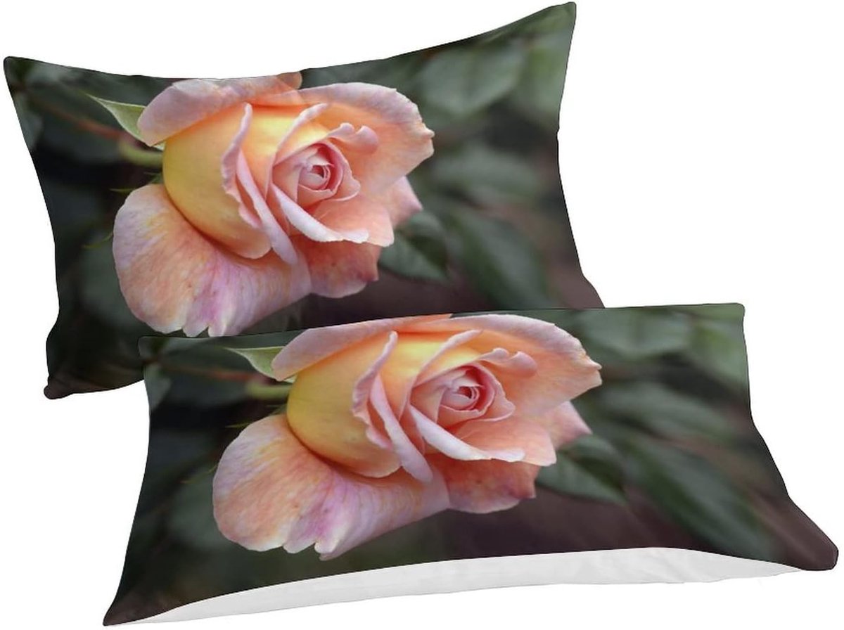 Sleepdown Dag met Ritssluiting Print 3D Design Dekbedovertrek Romance Dekbedovertrek Beddengoed Set met Kussenslopen Dubbel (200x200cm)