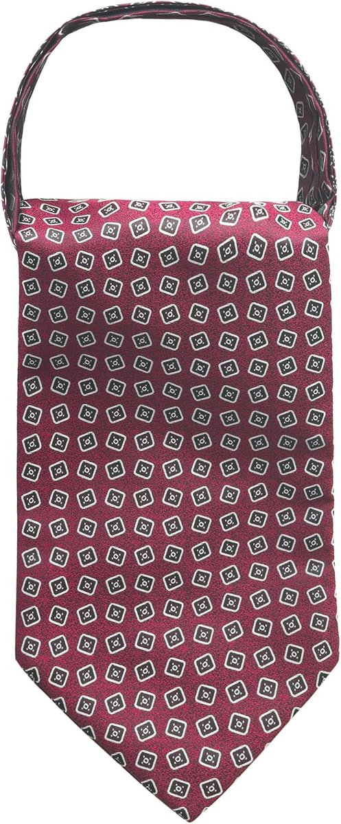 Ascot Stropdas Stropdassjaal Cravat Stropdas Halsdoek Klassiek Retro Chique voor Gentleman