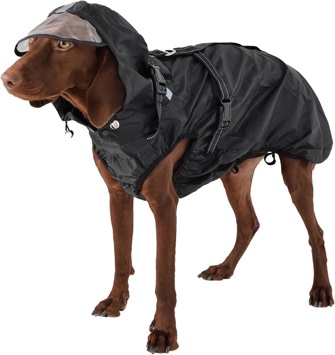 Regenjassen