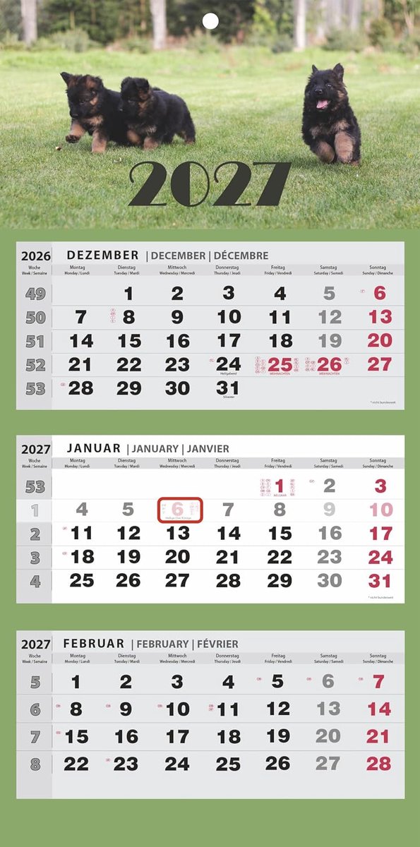 Wandkalender 2026, 3-maanden-kalender met praktische wandplanner voor efficiënte jaarplanning, feestdagen, schoolvakanties en belangrijke afspraken (honden), driemaandelijkse kalender