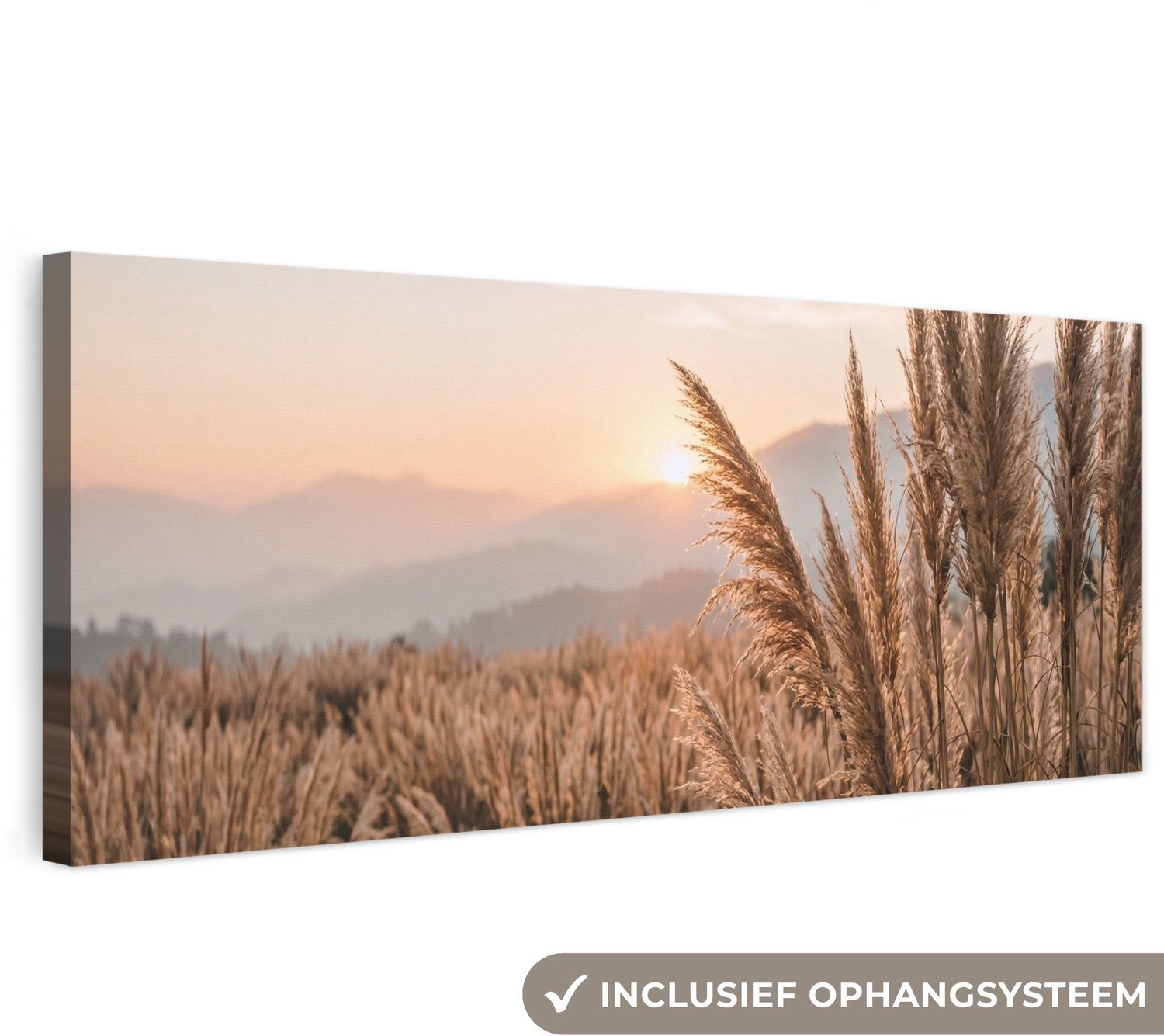 Canvas schilderij 150x50 cm - Exclusieve wanddecoratie Gras - Veld - Zon - Natuur - Muurdecoratie woonkamer - Slaapkamer decoratie - Kamer accessoires - Schilderijen op canvas groot XXL