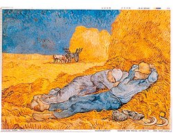 Placemats - Rechthoekig - 31x43 cm - Litos