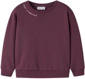 NAME IT - NMFOKALA LS NREG SWE BRU PB - Meisjes - Sweaters