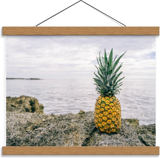 Schoolplaat – Ananas op een Rots bij de Zee - 40x30cm Foto op Textielposter (Wanddecoratie op Schoolplaat)