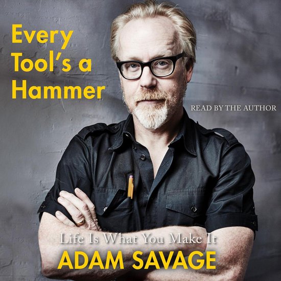 Every Tool's a Hammer - cover