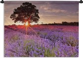 Tapisserie La lavande - Le soleil entre un arbre sur un champ de lavande Tapisserie en coton 90x67 cm - Tapisserie avec photo
