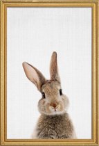 JUNIQE - Poster met houten lijst Baby konijn kleurenfoto -13x18 /Bruin
