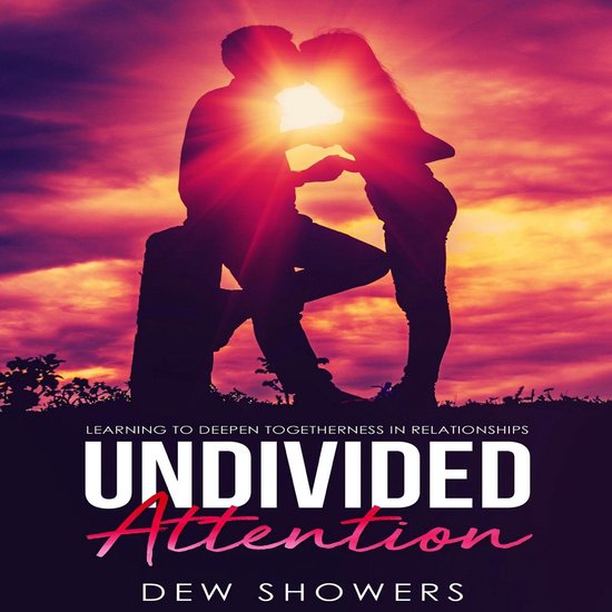 Undivided Attention - cover