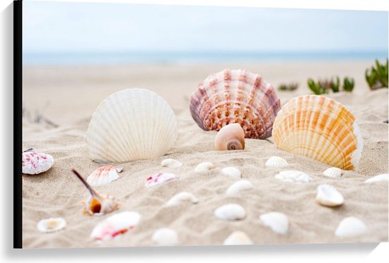 Canvas  - Schelpjes in het Zand - Foto op Canvas Schilderij (Wanddecoratie op Canvas)