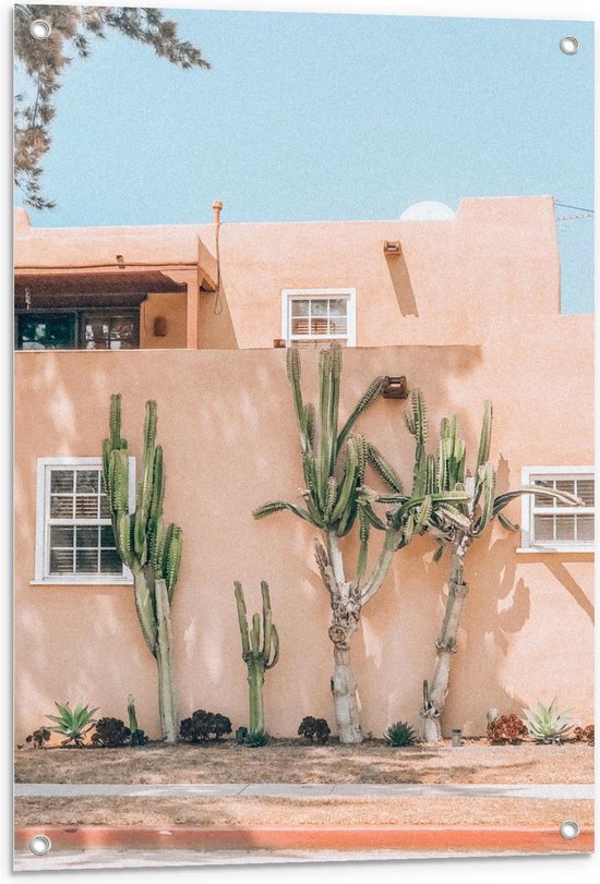 Tuinposter – Groene Cactus tegen Roze Gebouw  - 60x90cm Foto op Tuinposter  (wanddecoratie voor buiten en binnen)