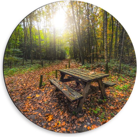 Dibond Wandcirkel - Picknicktafel in het Bos - 50x50cm Foto op Aluminium Wandcirkel (met ophangsysteem)