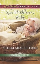 Cowboy Creek 2 - Special Delivery Baby (Mills & Boon Love Inspired Historical) (Cowboy Creek, Book 2)