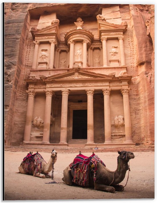 Dibond - Kamelen bij Petra - Jordanië - 30x40cm Foto op Aluminium (Met Ophangsysteem)