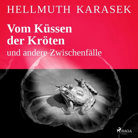 Vom Küssen der Kröten und andere Zwischenfälle - cover