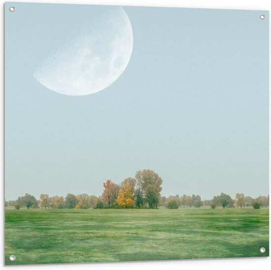 Tuinposter – Maan op Klaarlichte Dag - 100x100cm Foto op Tuinposter  (wanddecoratie voor buiten en binnen)