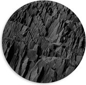 Dibond Wandcirkel - Boomschors (zwart/wit) - 80x80cm Foto op Aluminium Wandcirkel (met ophangsysteem)