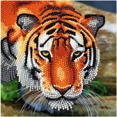Craft Buddy Crystal Art Kaart Tijger 18x18 cm
