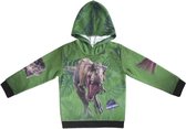 Jurassic Park Dino Hoodie 9-10 Jaar 134-140 cm