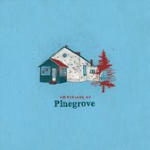 Pinegrove - Amperland Sessions (CD)