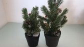 Kunstkerstboom - 2 stuks - Groen - met licht