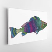 Zentangle stylized color fish. Hand Drawn vector illustration. Books or tattoos with high details isolated on white background - Modern Art Canvas - Horizontal - 429258964 - 50*40