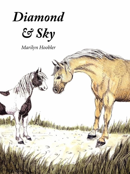 Diamond & Sky - cover