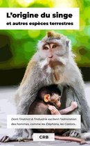 L'origine du singe et autres espèces terrestres