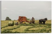 Dibond - Mensen met Paarden Werkend op het land - 60x40cm Foto op Aluminium (Met Ophangsysteem)