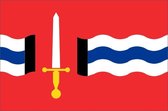 Vlag gemeente Reimerswaal 150x225 cm