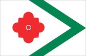 Vlag gemeente Landerd 70x100 cm