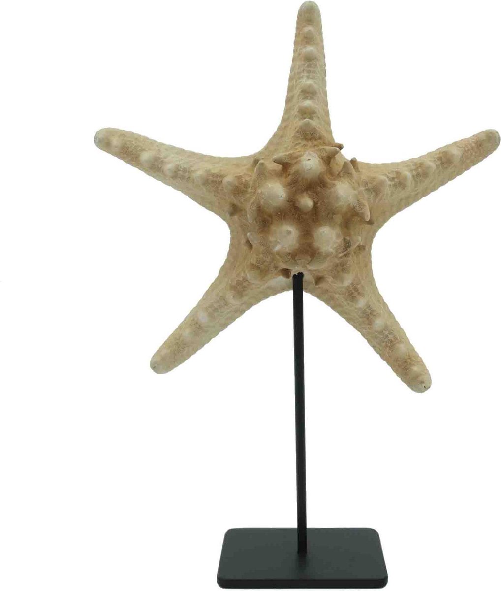 Zeester zand op sokkel