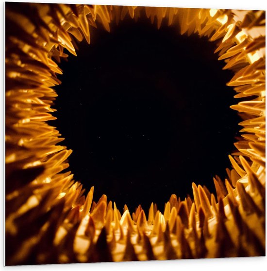 Forex - Gouden Pinnen - 100x100cm Foto op Forex