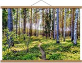 Schoolplaat – Bos met Zonnetje - 90x60cm Foto op Textielposter (Wanddecoratie op Schoolplaat)