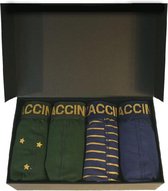 Zaccini 4-pack giftbox gold stripe en gold star