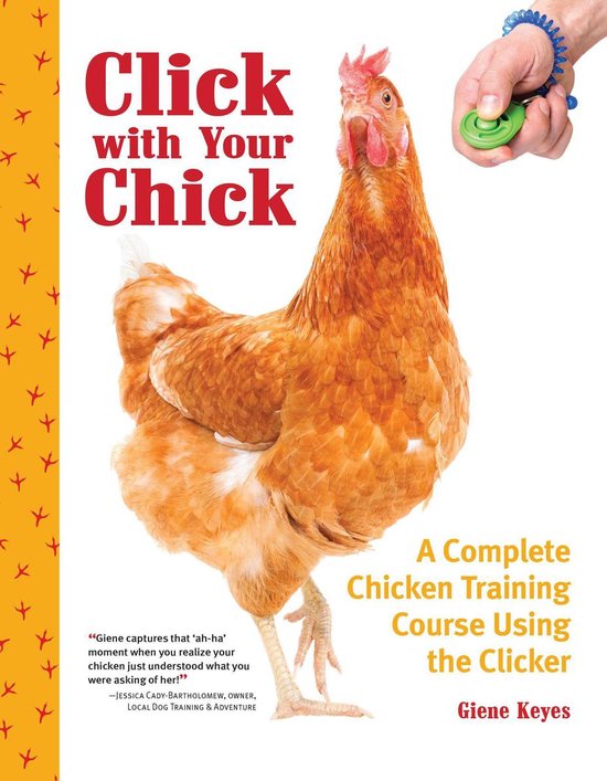 Click with Your Chick - cover