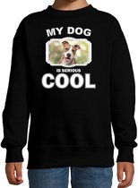 Staffordshire bull terrier honden trui / sweater my dog is serious cool zwart - kinderen - Staffordshire bull terrier liefhebber cadeau sweaters 3-4 jaar (98/104)