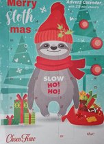 topcadeaus- 10 stuks Merry Sloth mas - Adventkalender - 2021
